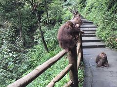 -峨眉山风景名胜区