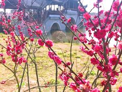 景点-上海海湾国家森林公园