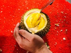 -都念榴莲·城市榴莲