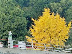 -金堂县云顶石城风景区