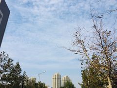 -大连海事大学-游泳馆