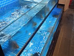 水产区-四季春(美食街店)