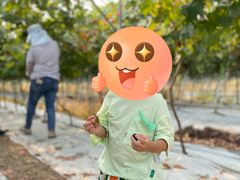 -金谷域澳洲庄园