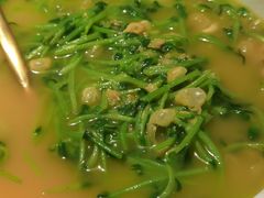 上汤豌豆苗-雀蓝川菜(奥体广场店)