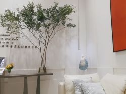 -奥斯芬欧系贵族SPA