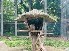 -上海野生动物园