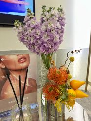 -明潪Selfology升维护理中心