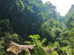 -火炉山森林公园
