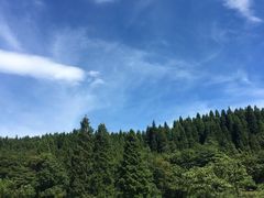 -武陵山森林公园