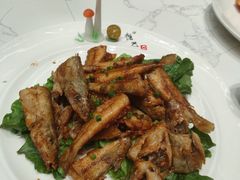 -万禧明珠大酒楼(海丰店)