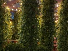 -顶层酒吧ROOF(上海艾迪逊酒店)