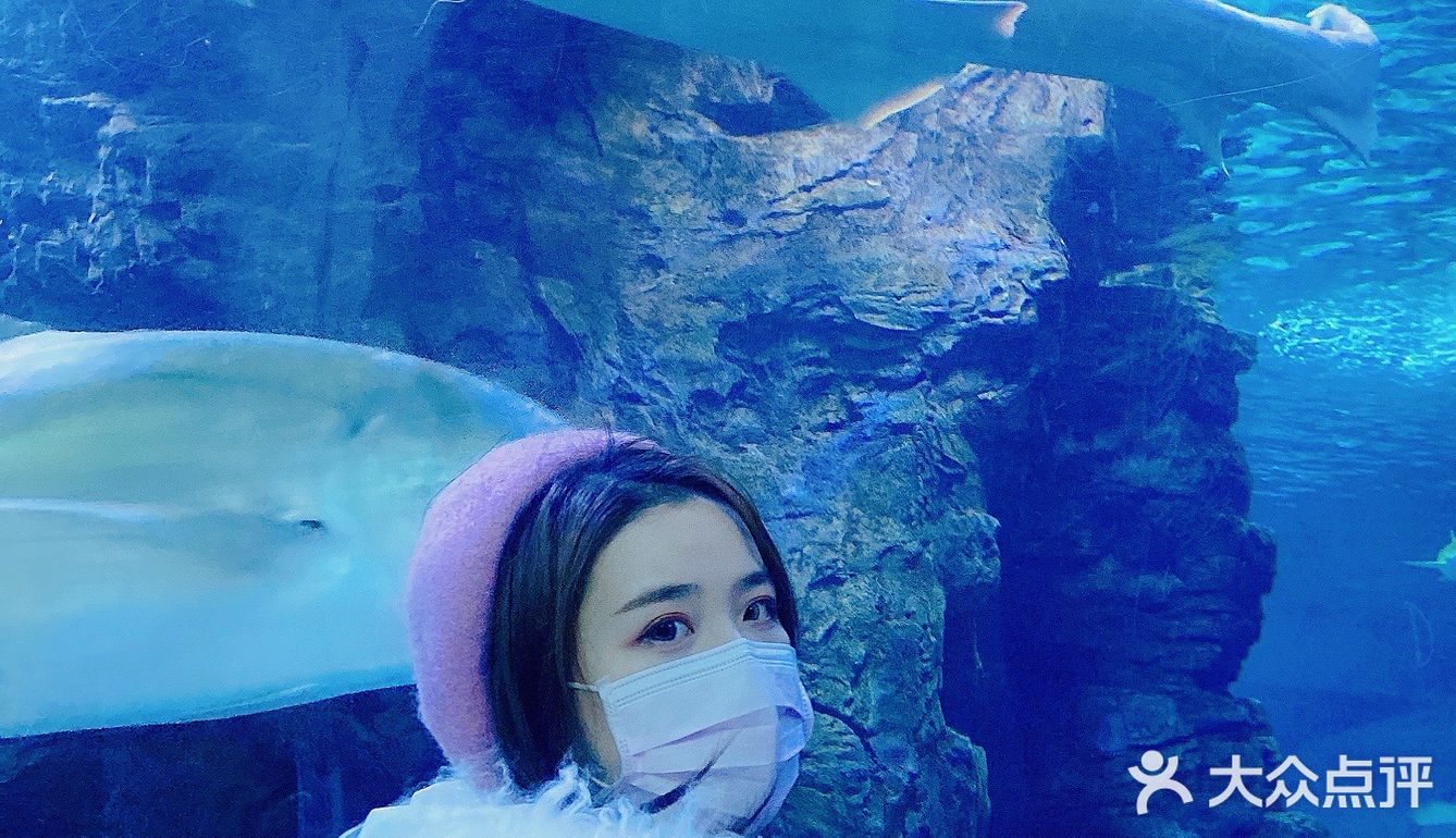 长这么大第一次来东湖海洋世界，嘻嘻嘻