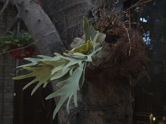 -云境生态园(红谷滩店)
