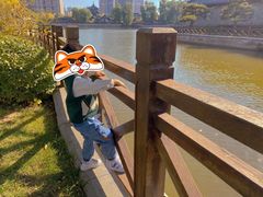 -迎泽公园