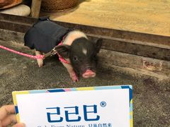 -阿昌白族石板烧(大理古城店)