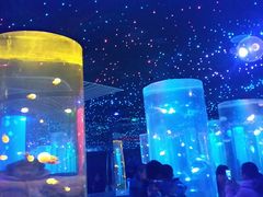 -锦艺城海洋馆
