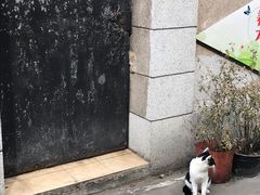 门面-万寿斋(山阴路店)