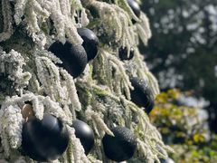 -火车头法国西餐厅