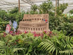 -南宫五洲植物乐园