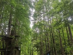 -灵栖洞天