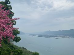 -仙岛湖旅游风景区