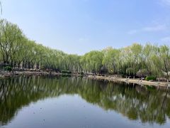 -东升八家郊野公园