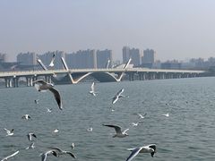 -蠡湖大桥公园
