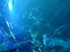 -成都浩海立方海洋公园