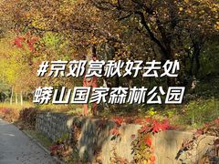 -蟒山国家森林公园-停车场
