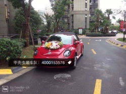 宠你一生甲壳虫婚车队-畅步婚车(浦东店)