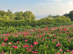 -深圳湾公园(南山区)