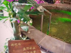 -泉城欧乐堡戏水湾艺术养生温泉