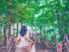 -沂蒙山旅游区云蒙景区(蒙山国家森林公园)
