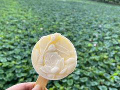 -荷塘月色湿地公园·向阳花洲