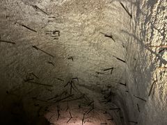 -816工程景区