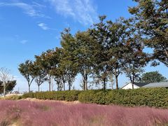 -嘉北郊野公园
