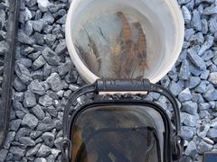 -DGE季风钓虾营地·团建·聚会