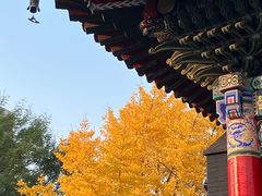 -长安寺