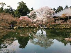 -醍醐寺