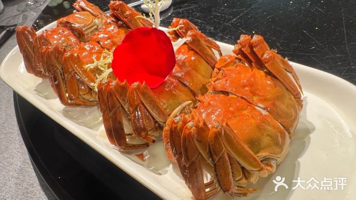 HOMES上海本帮菜(襄阳公园店)图片