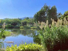 -四海公园(南山区)