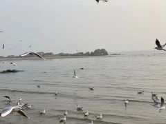 -老虎石海上公园