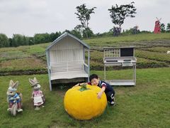 -同里国家湿地公园