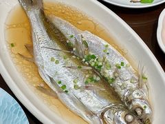 清蒸白水鱼-品渔味湖鲜馆(拈花湾店)