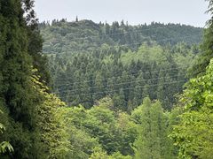 -武陵山森林公园