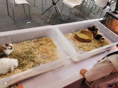 -东浩兰生上海世博展览馆