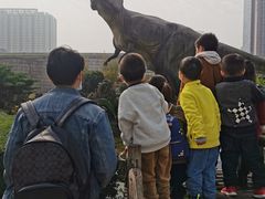 -陕西自然博物馆