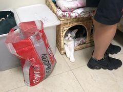 -美联众合动物医院·24h转诊中心