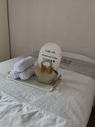 -天使妈妈产后康复中心(万宝店)