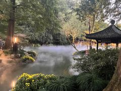 -杭州植物园